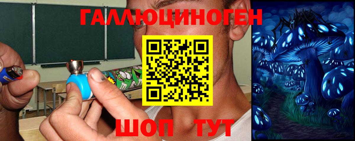 Псилоцибиновые грибы Psilocybine cubensis  Вход с VPN  Галлюциногенные грибы Psilocybine cubensis  Туапсе 