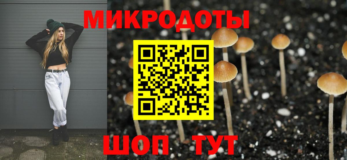 Галлюциногенные грибы Cubensis Туапсе